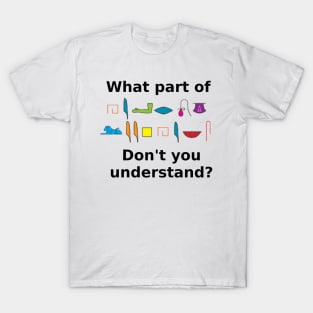 What part of hieroglyphics don't you understand T-Shirt